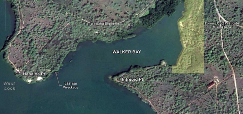 Satellite view of Walker Bay and Waipio Peninsula