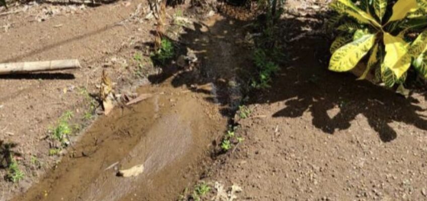 Green drainage pipe releasing muddy water onto soil