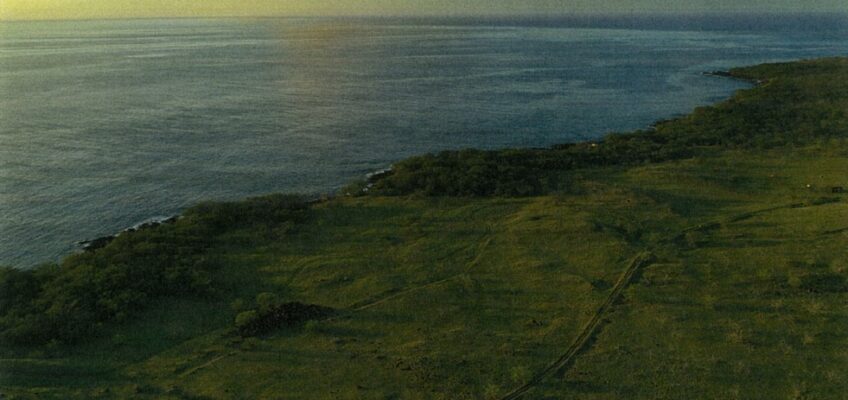 Aerial view of grassy coastline at sunset