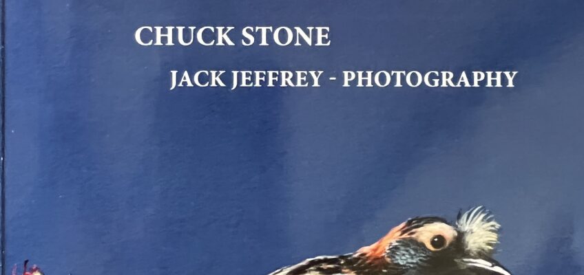 Birds in Hawai'i Today book cover