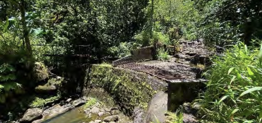 Mossy stone stream bridge in lush forest