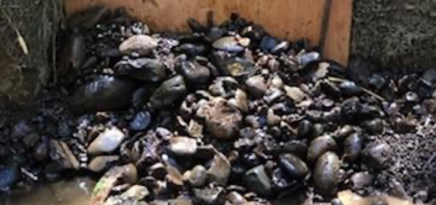 Pile of wet rocks behind small wooden dam