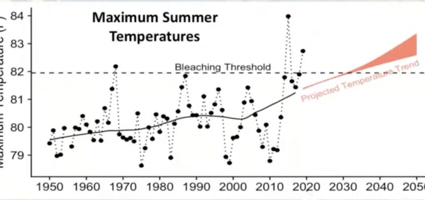 Graph of rising maximum summer temperatures with projections