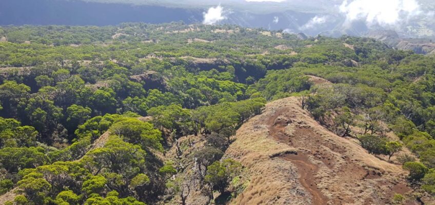 Aerial view of forested ridge with dirt trail