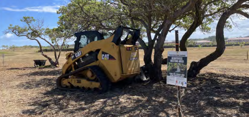 Yellow CAT skid steer loader parked under trees