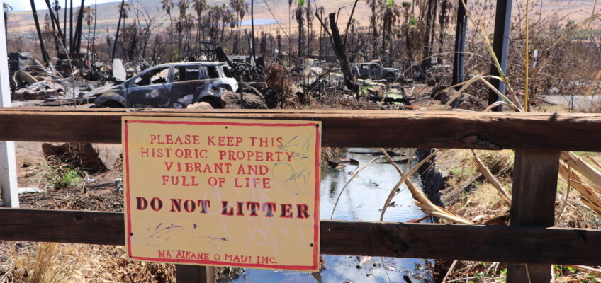 Do Not Litter sign amid scorched landscape
