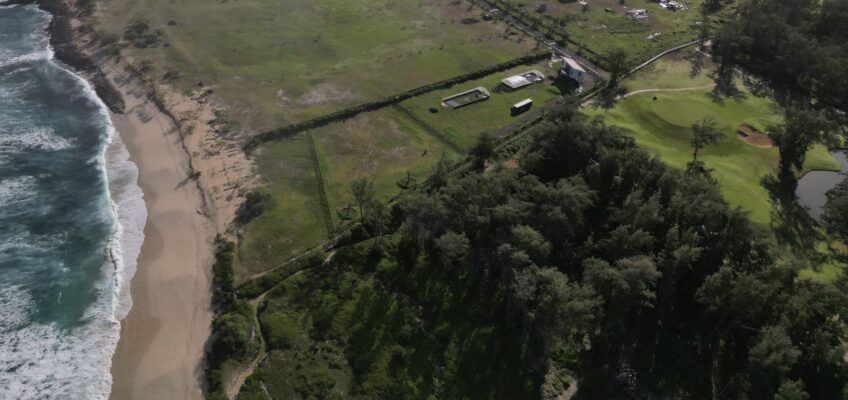 Aerial coastline with sandy beach and trees