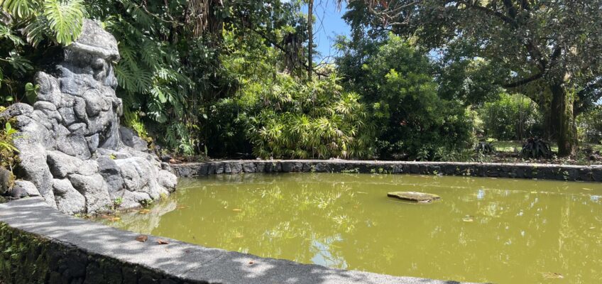 Circular green pond with stone sculpture and trees