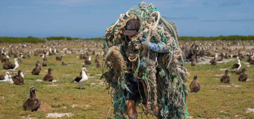 Person carrying large tangled fishing nets among seabirds