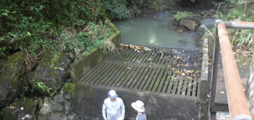 Two people by concrete grate in forested stream