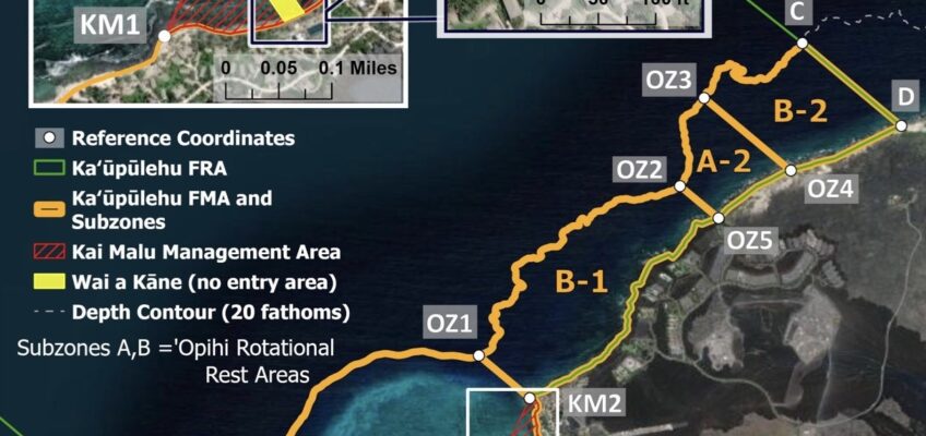 Map of Kahuwai Bay marine management zones